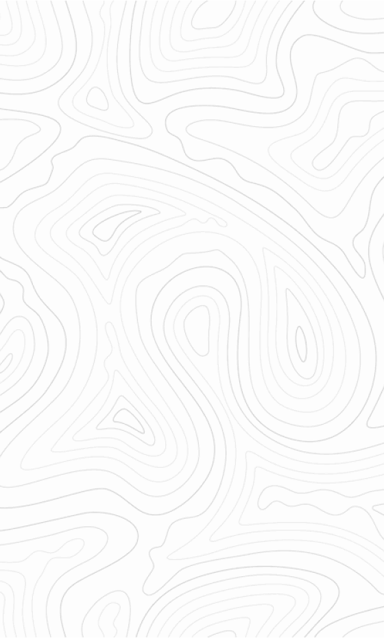 Customs Clearance Services Background